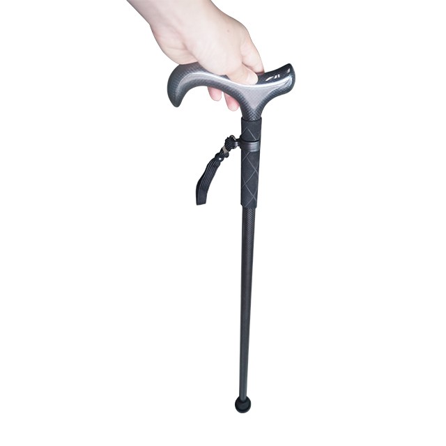 ไม้เท้าเดินป่าคาร์บอนไฟเบอร์น้ - Trekking Pole Carbon บทวิจารณ์และราคา
