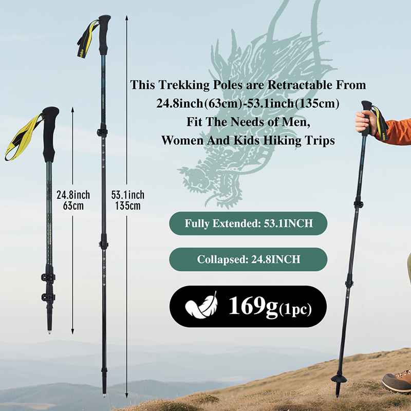 ไม้เท้าเดินป่าคาร์บอนไฟเบอร์ 3 - Trekking Pole Carbon บทวิจารณ์และราคา